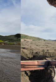 Community member constructing sandcastle coastal community at Rodeo Beach 