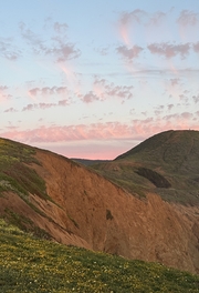Yellow flowers bloom on the bluff at Mori Point under a light blue sky with pink and white clouds.