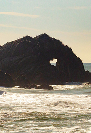 Seal Rocks seen in the Pacific Ocean near San Francisco's Lands End.