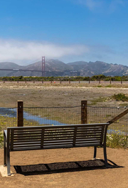 A sunny day over Crissy Field Marsh.