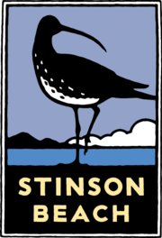 Schwab image of a long-billed shorebird walking on a beach with hills and clouds in the distance