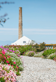 The Alcatraz Historic Gardens with the Power Plant seen in the background.