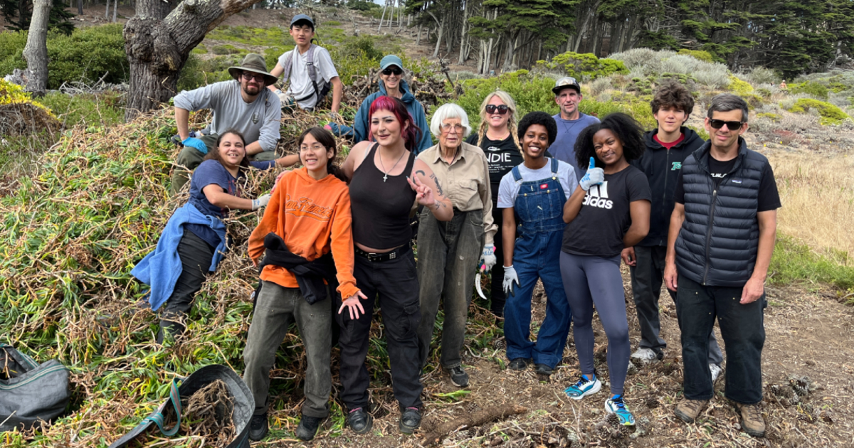 San Francisco Habitat Stewards at Golden Gate National Recreation Area (rotating SF sites)