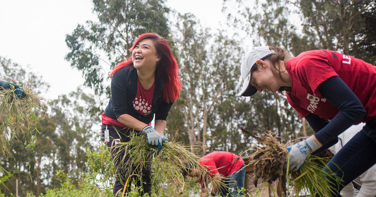 Presidio Habitat Stewards at Presidio of San Francisco