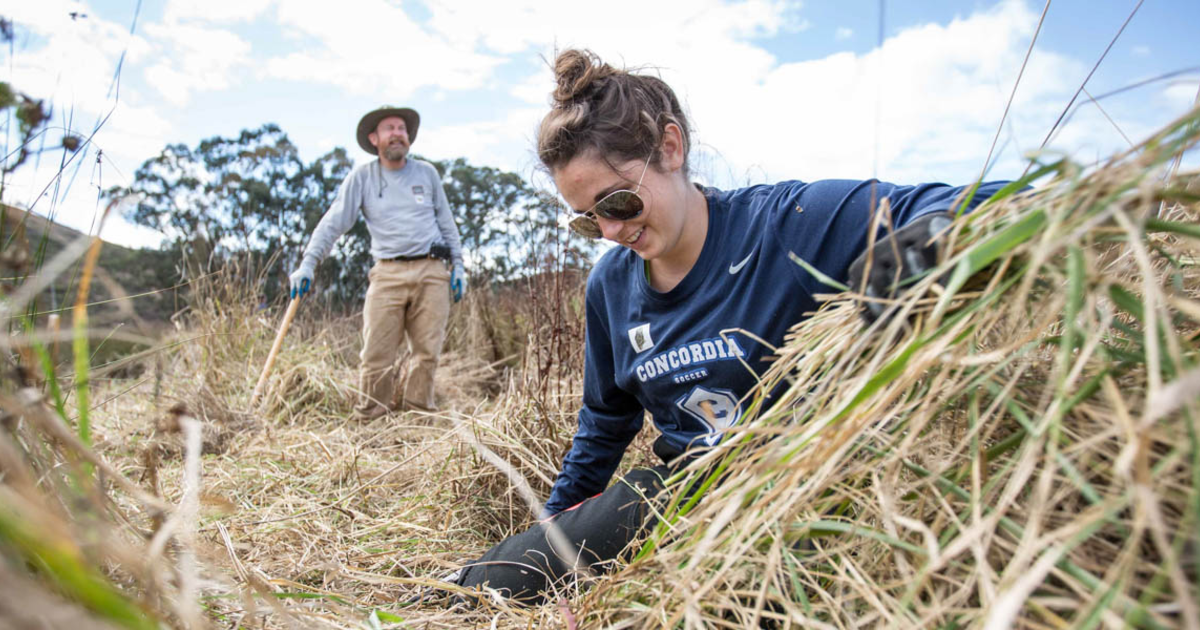 Habitat Restoration Team at Marin Headlands