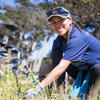 Volunteer at work in Lands End