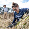 Habitat Restoration in Tennessee Valley